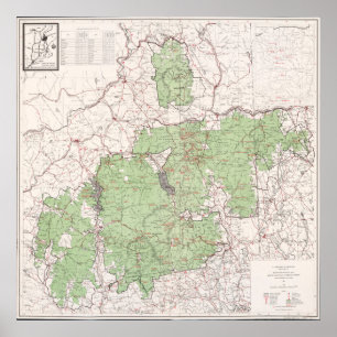 Poster Carte forestière nationale des Montagnes blanches 