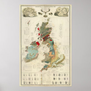 Poster Carte géologique et paléontologique composée