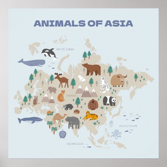 Poster Carte illustrée des animaux d'Asie (Devant)