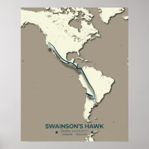 Carte migratoire de Swainson sur la faucille - Vin