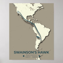 Carte migratoire de Swainson sur la faucille - Vin