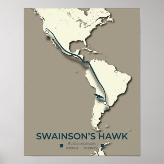 Poster Carte migratoire de Swainson sur la faucille - Vin
