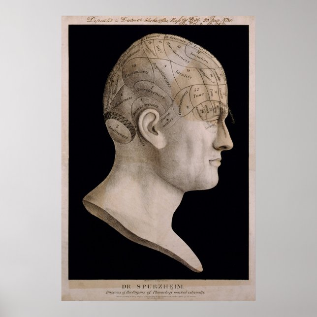 Poster Carte phréologique du Dr Spurzheim (Devant)