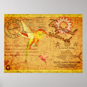 Poster Carte postale vintage colibri de l'île tropicale