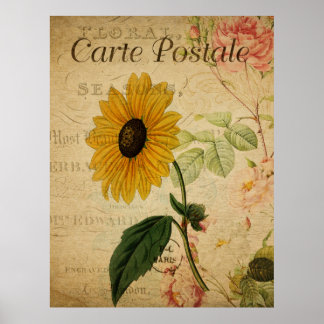 Poster Carte postale vintage de tournesol