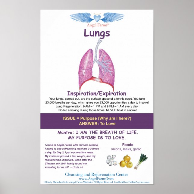 Poster Carte pulmonaire des fermes angéliques (Devant)