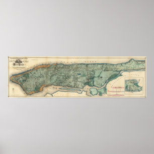 Poster Carte sanitaire et topographique de New York