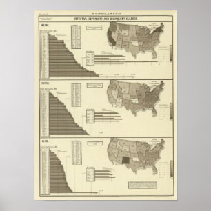 Poster Carte statistique aliénée, idiote, aveugle
