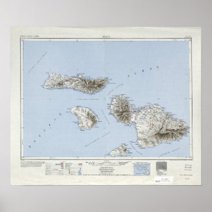 Poster Carte topographique vintage Maui Hawaii