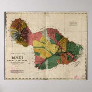 Poster Carte vintage de Maui Hawaï (1885)