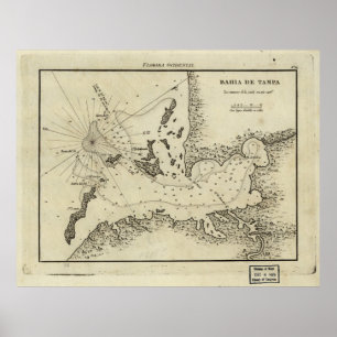 Poster Carte vintage de Tampa Florida (1809)