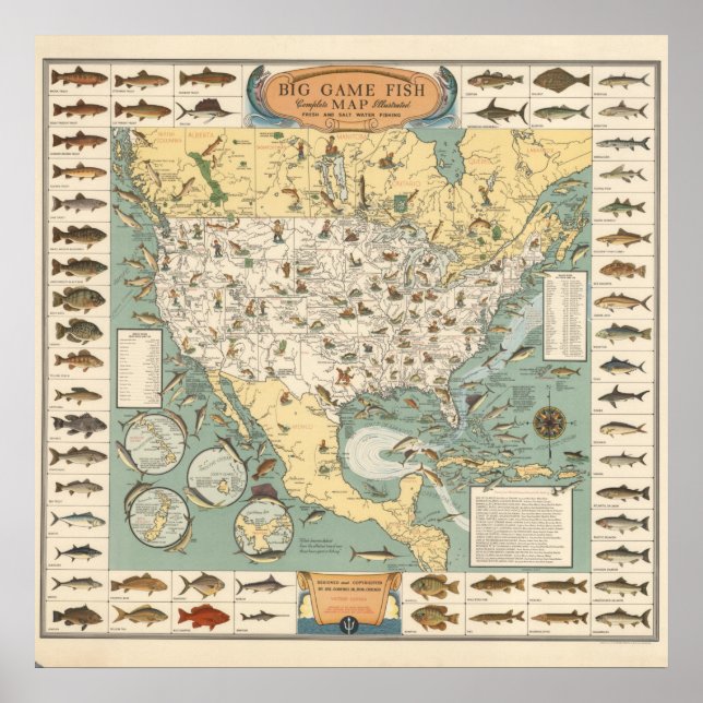 Poster Carte vintage des poissons américains (Devant)
