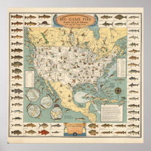 Poster Carte Vintage du poisson américain