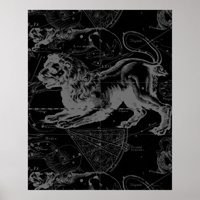 Poster Carte vintage Leo ConstellationHevelius 1690 (Devant)