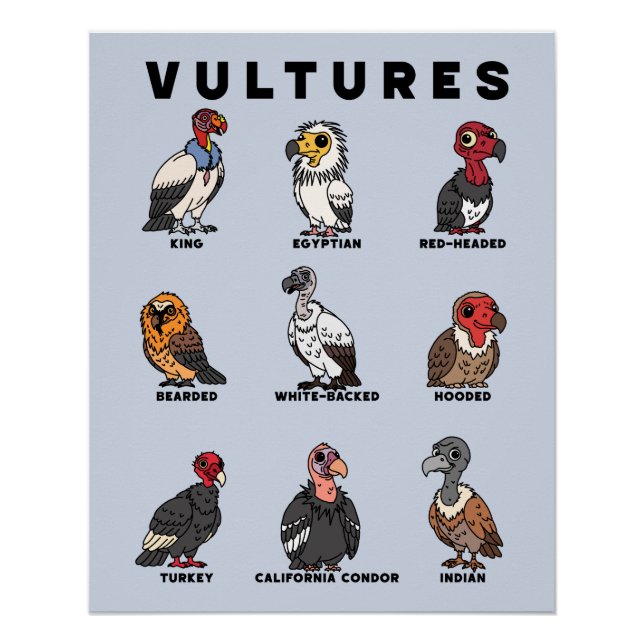 Poster Cartoon Vultures of the Worlds (Devant)