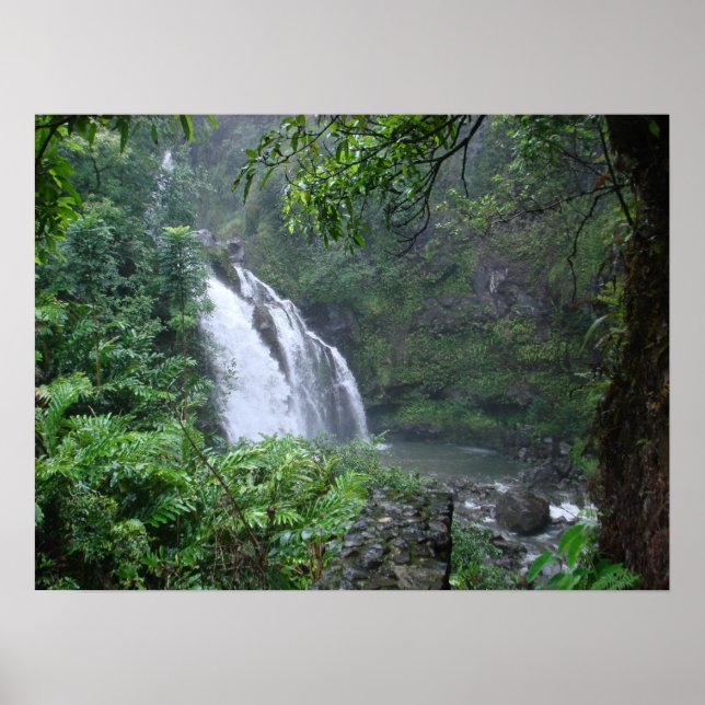 Poster Cascade (Devant)
