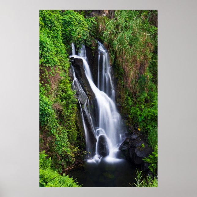 Poster Cascade, côte de Hamakua, Hawaii (Devant)