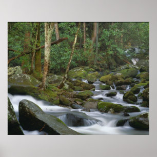 Poster Cascade dans Cosby