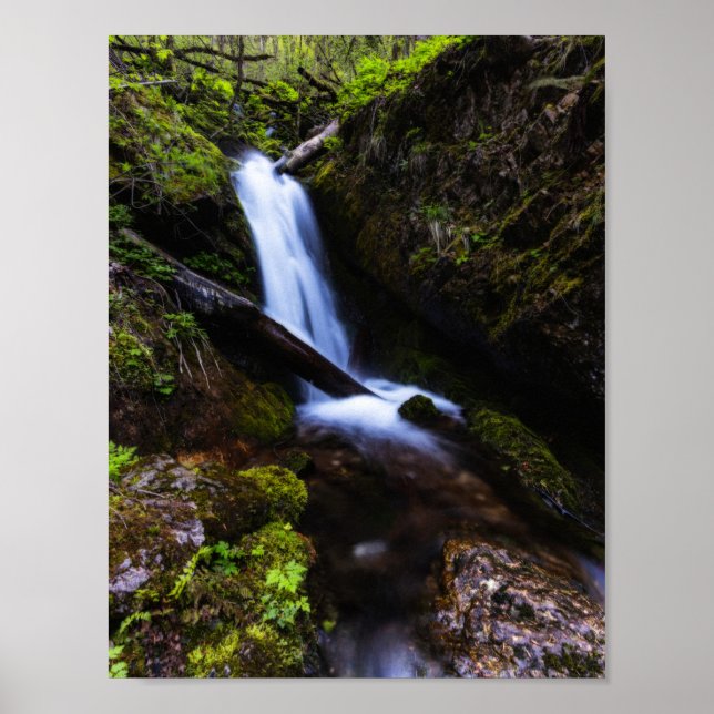 Poster Cascade dans la forêt enchantée (Devant)