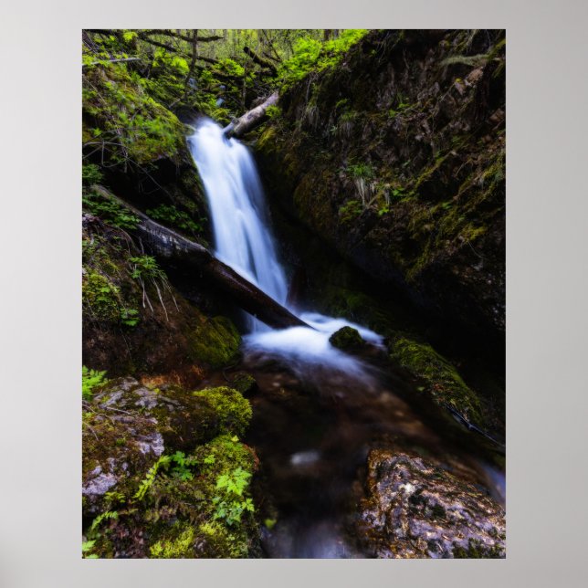Poster Cascade dans la forêt enchantée (Devant)