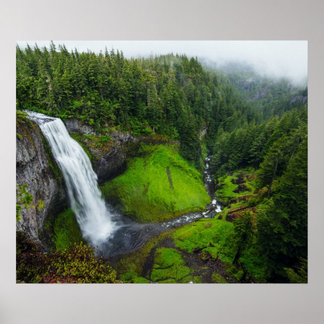 Poster Cascade dans le vert (Devant)