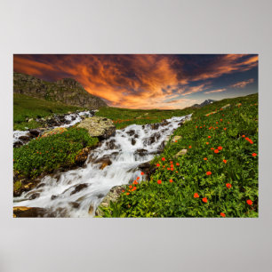 Poster Cascade dans les montagnes avec des fleurs