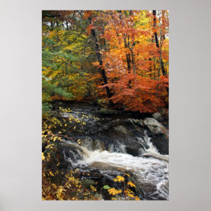 Poster Cascade d'automne