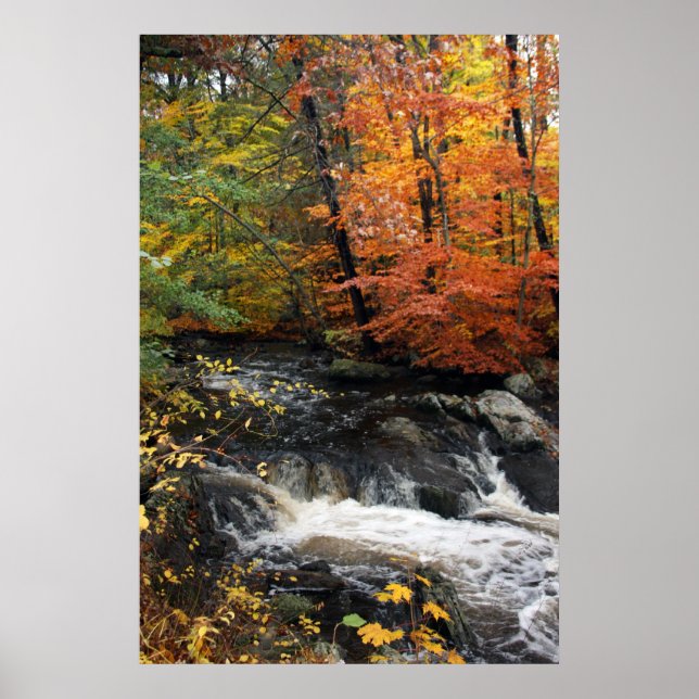 Poster Cascade d'automne (Devant)