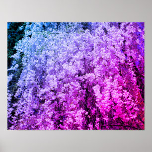 Poster Cascade De Fleurs Ressortissantes Tintées