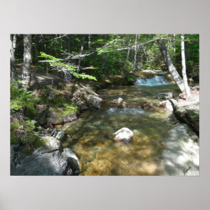 Poster Cascade de la rivière Pemigewasset III