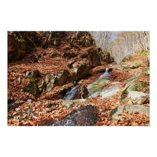 Poster Cascade de Montagne - Nature Sauvage Roumanie