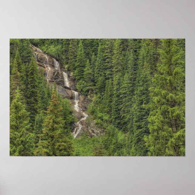 Poster Cascade des Rocheuses (Devant)