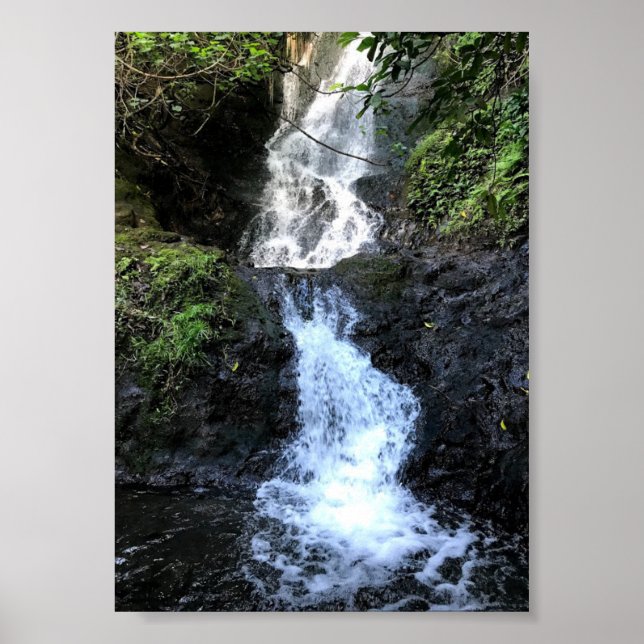 Poster Cascade d'Hawaii (Devant)