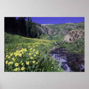 Poster Cascade et fleurs sauvages dans la prairie alpine,