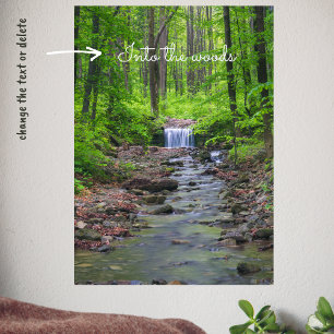 Poster Cascade forestière