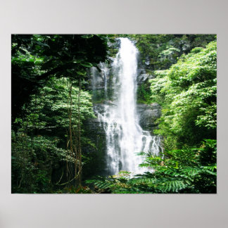 Poster Cascade hawaïenne