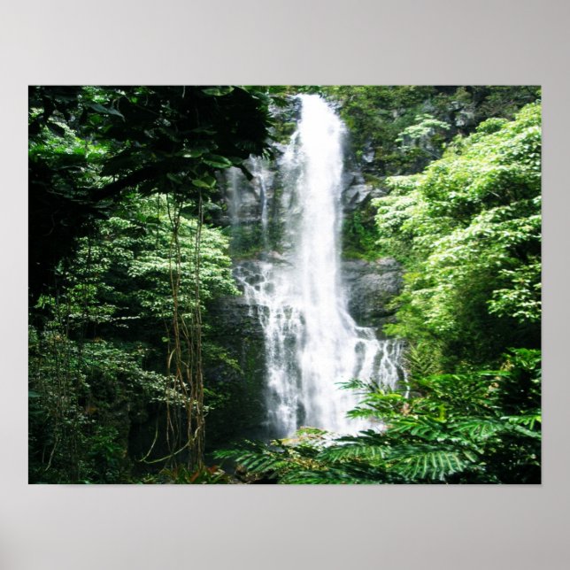 Poster Cascade hawaïenne (Devant)
