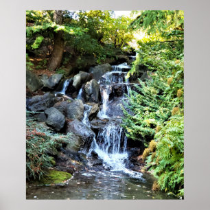 Poster Cascade Jardin botanique Van Dusen Vancouver
