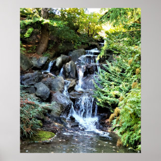 Poster Cascade Jardin botanique Van Dusen Vancouver