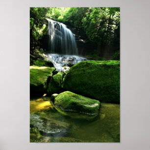 Poster Cascade luxuriante de forêt tropicale au soleil