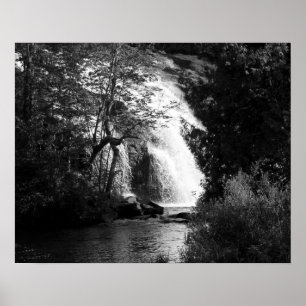 Poster Cascade noire et blanche à travers les arbres 16x2