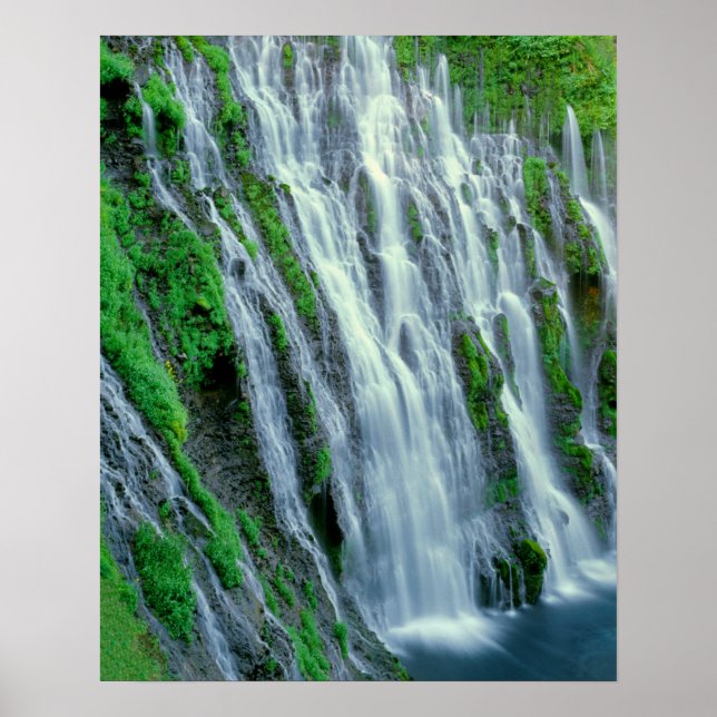 Poster Cascade pittoresque, Californie (Devant)