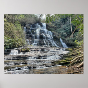 Poster Cascade pittoresque Rhododendron vert