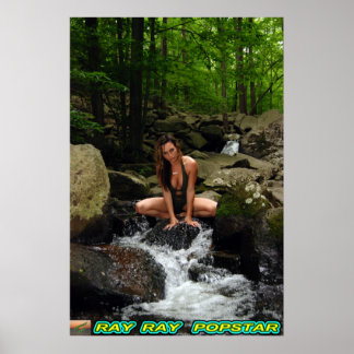 Poster Cascade Ray Ray Popstar N°4