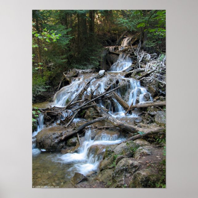 Poster Cascade sauvage (Devant)