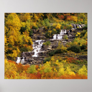 Poster Cascade sous le mont Cannon dans Glacier National