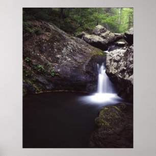 Poster Cascade sur la rivière Rose