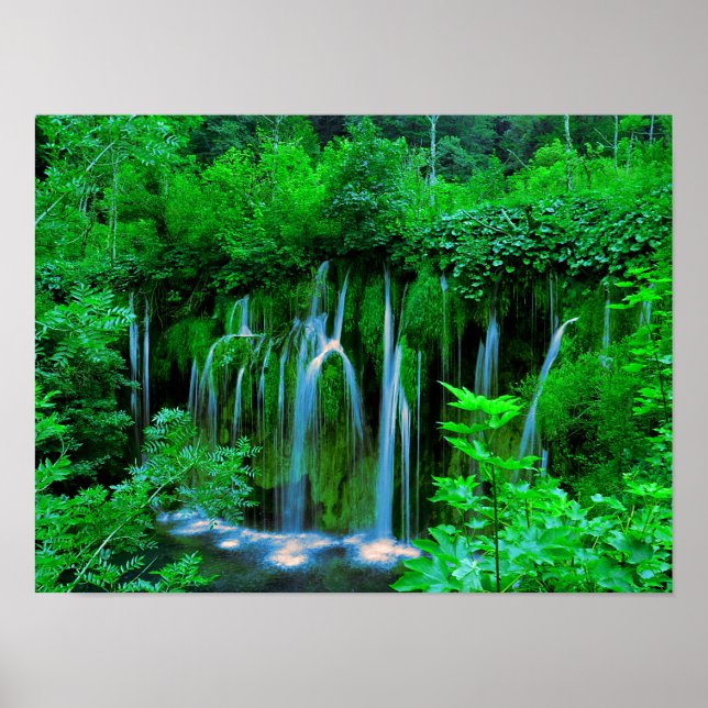 Poster Cascade Tropicale En Cascade Dans La Forêt Pluvial (Devant)