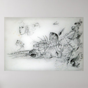 POSTER CASCADES AVEC JEUNE FILLE