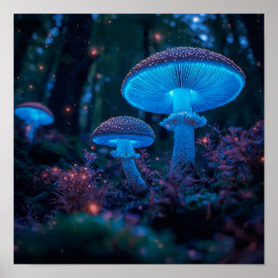 Poster Casquette de nuit